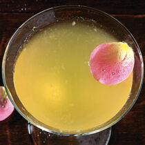 Mayflower Martini Mayflower Martini