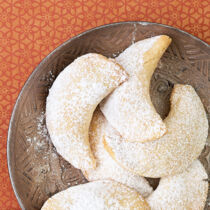 Gazellenhörnchen Gazellenhörnchen