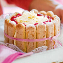 Charlotte mit weißer Kaffeemousse Charlotte mit weißer Kaffeemousse