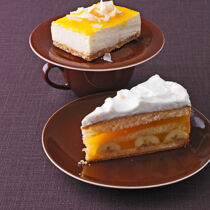 Kokos-Creme-Schnitten Kokos-Creme-Schnitten