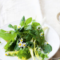 Wildkräutersalat mit Holunderblüten-Dressing