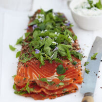 Gebeizte Kräuterforelle Gebeizte Kräuterforelle