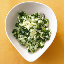 Entengrütze Entengrütze