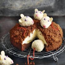 Mäusekuchen Mäusekuchen