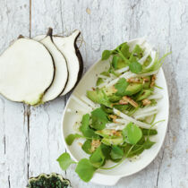 Postelein mit Avocado Postelein mit Avocado