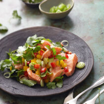 Lachs-Ceviche mit Paprika und Senföl
