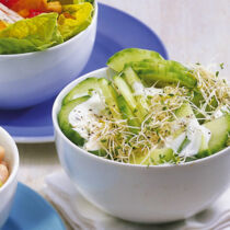 Gurken-Sprossensalat Gurken-Sprossensalat