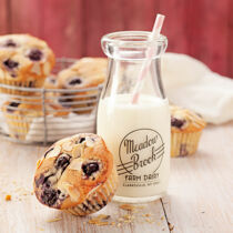 Heidelbeer-Muffins Heidelbeer-Muffins