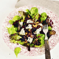 LINSENSALAT »SAINT PAUL« LINSENSALAT »SAINT PAUL«