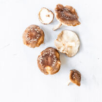 Shiitake-Pilze