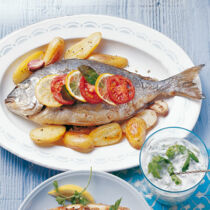 Brassen aus dem Ofen