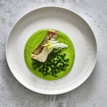 Zander Erbse Ingwer Zander Erbse Ingwer