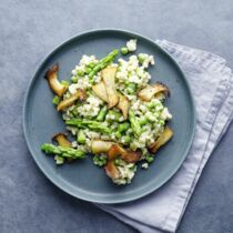 Pilz-Graupotto Pilz-Graupotto