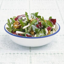 Buntblattsalat Buntblattsalat