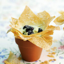 Strudelteigblüten mit Heidelbeeren Strudelteigblüten mit Heidelbeeren