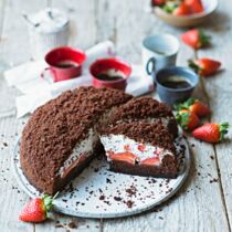 Maulwurftorte Maulwurftorte