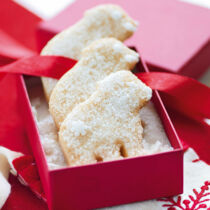 Shortbread-Eisbären