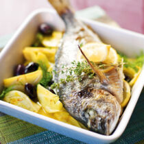 Doraden auf Fenchelgemüse