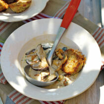 Gebratene Speckknödel mit Pilzragout