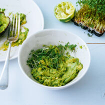 Avocadocreme mit Kresse