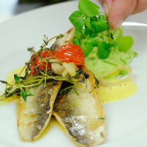 Ising_Renke Ising_Renke