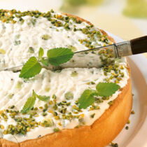 Kiwi-Joghurt-Torte Kiwi-Joghurt-Torte