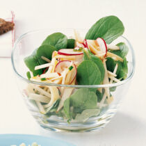 Apfel-Feldsalat mit Käse