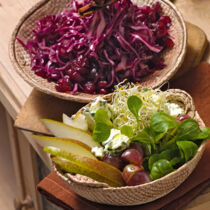 Blaukraut-Cranberry-Salat Blaukraut-Cranberry-Salat