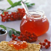 Vogelbeeren-Birnen-Gelee Vogelbeeren-Birnen-Gelee