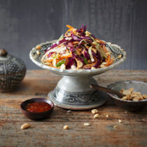 Asiatischer Kohlsalat