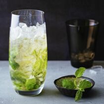 Mint Julep