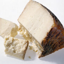 Pecorino