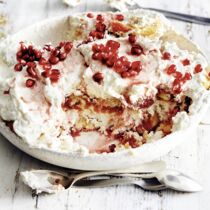 Tiramisu mit Granatapfel und weißer Schokolade