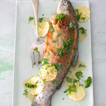 Forelle Müllerin Art