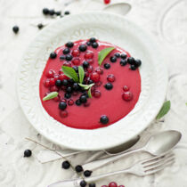 Johannisbeer-Gefrorenes mit Stevia