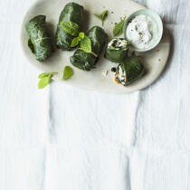 Kohlrabiröllchen Kohlrabiröllchen