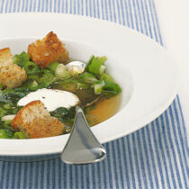 Frühlingszwiebelsuppe Frühlingszwiebelsuppe