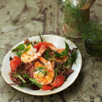 Garnelen-Grapefruit-Salat mit Grapefruit-Vinaigrette Garnelen-Grapefruit-Salat mit Grapefruit-Vinaigrette