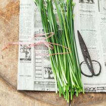 Schnittknoblauch