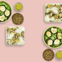 Ein Pilzlein steht im Walde Ein Pilzlein steht im Walde