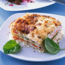 Bunte Lasagne