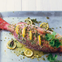 Meerbrasse aus dem Ofen Meerbrasse aus dem Ofen