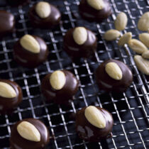 Aprikosentaler Aprikosentaler