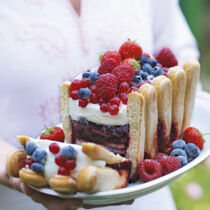 Beerenterrine mit Dickmilchcreme Beerenterrine mit Dickmilchcreme