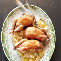 Wachteln Winzerinnen-Art