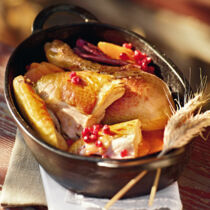 Ernte-Dank-Huhn mit Kürbisfüllung und Preiselbeersauce Ernte-Dank-Huhn mit Kürbisfüllung und Preiselbeersauce