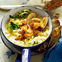 Endivienrisotto mit Venusmuscheln Endivienrisotto mit Venusmuscheln