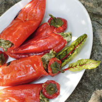 Gefüllte Paprika Gefüllte Paprika