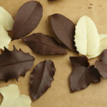 Schokoladenblätter