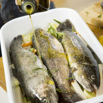 Forellen auf Ofengemüse Forellen auf Ofengemüse